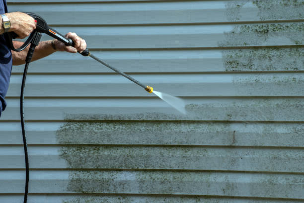 Best Graffiti Removal  in Rocky Mount, VA
